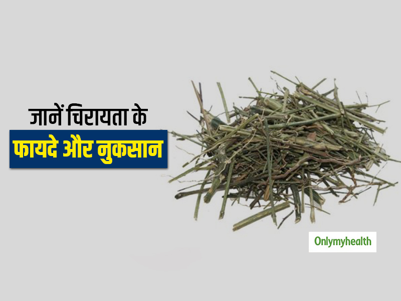 चिरायता खाने के फायदे और नुकसान, एक्सपर्ट से जानें इसके बारे में सबकुछ